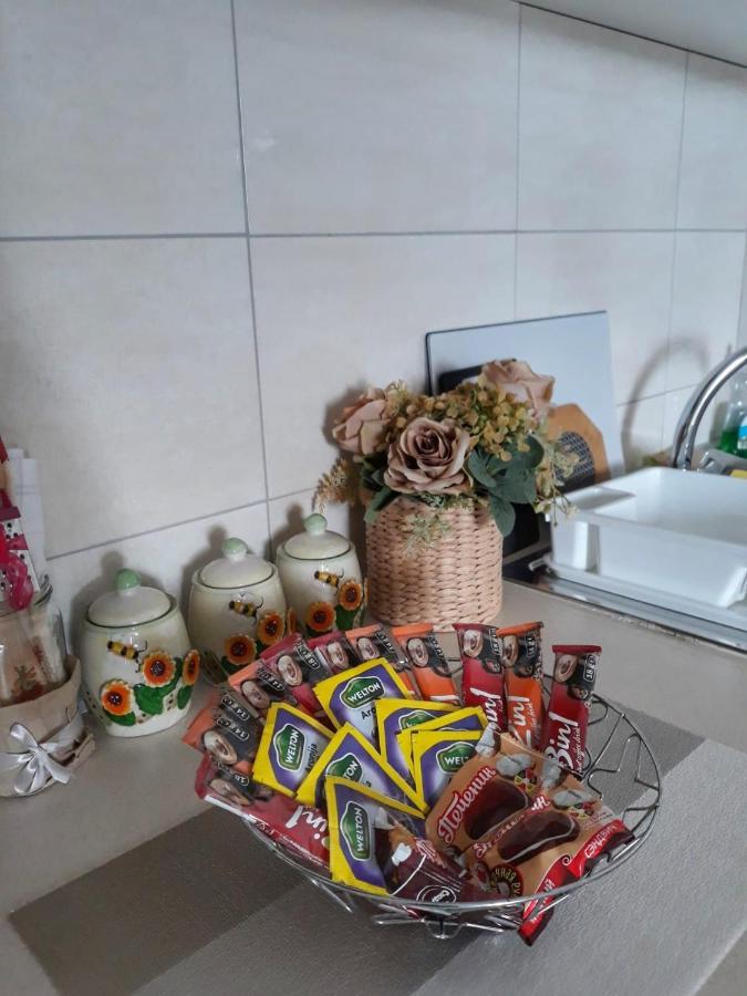 شقة Dionis Veliko Gradište المظهر الخارجي الصورة